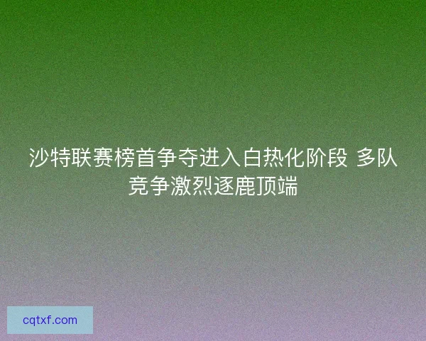 沙特联赛榜首争夺进入白热化阶段 多队竞争激烈逐鹿顶端